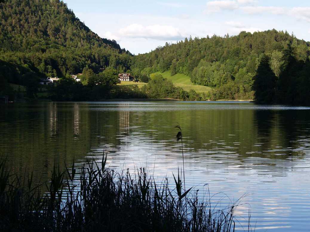 Thumsee